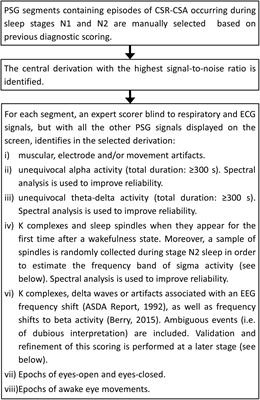 Computer-Assisted Assessment of the Interaction Between Arousals, Breath-by-Breath Ventilation, and Chemical Drive During Cheyne-Stokes Respiration in Heart Failure Patients